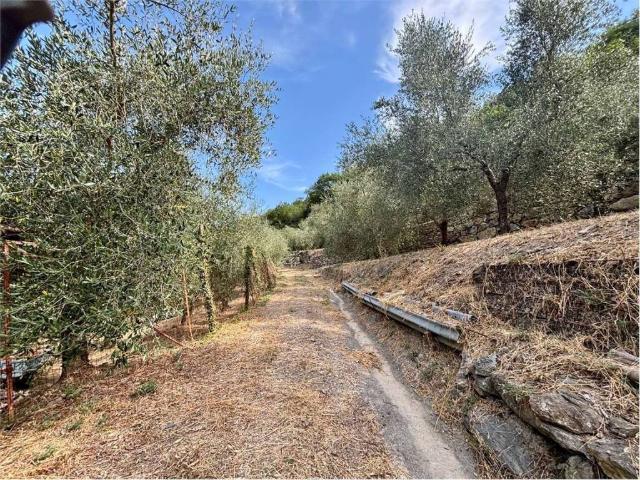 Terreno in vendita a Aquila d'Arroscia IM