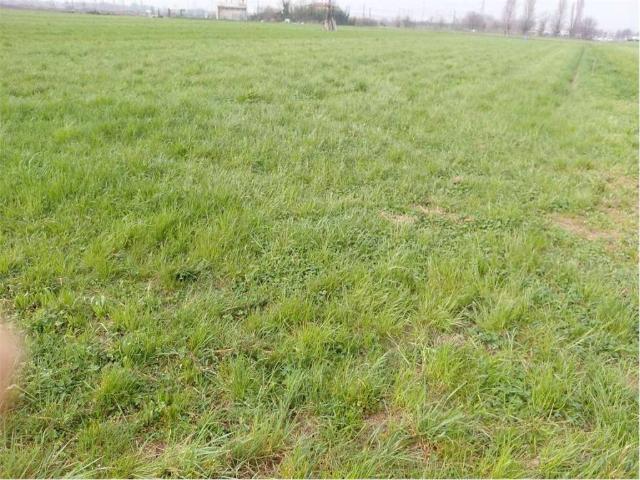 Terreno in vendita a Arcene BG