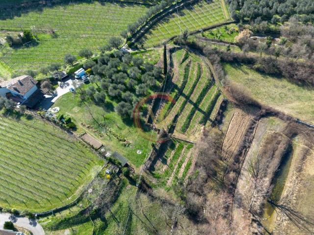 Terreno in vendita a Arco TN