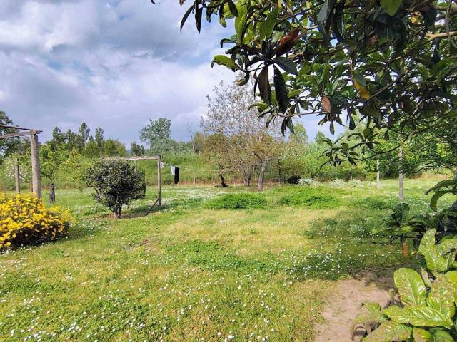 Terreno in vendita a Arcola SP
