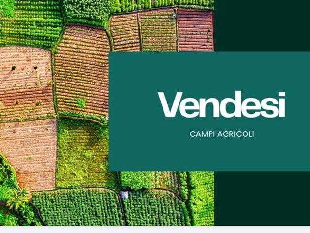 Terreno in vendita a Arcole VR