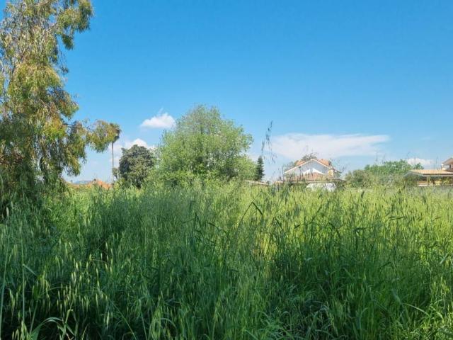 Terreno in vendita a Ardea RM