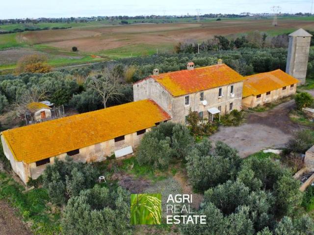 Terreno in vendita a Ardea RM