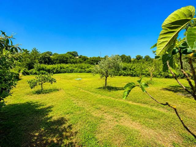 Terreno in vendita a Ardea RM