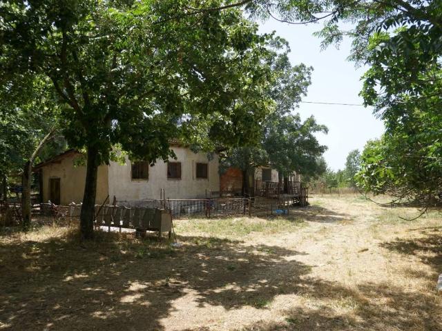 Rustico / Casale in vendita a Ardea RM