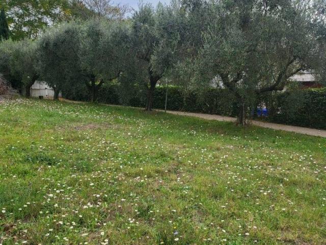 Terreno in vendita a Ariccia RM