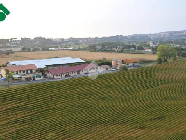 Terreno in vendita a Ariccia RM