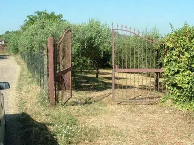 Terreno in vendita a Ariccia RM