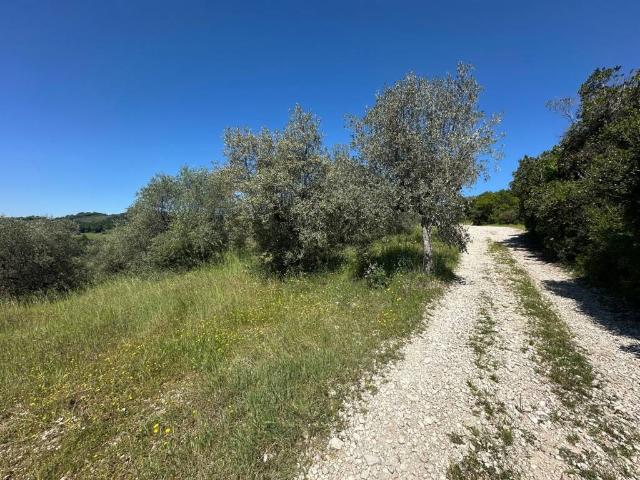 Terreno in vendita a Arrone TR