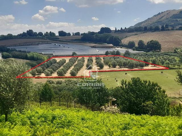 Terreno in vendita a Artena RM