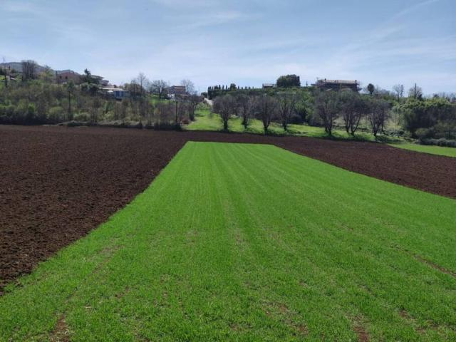 Terreno in vendita a Artena RM