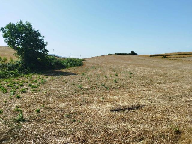 Terreno in vendita a Artena RM