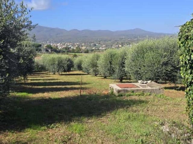 Terreno in vendita a Artena RM