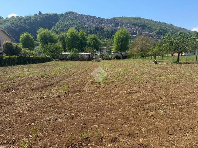 Terreno in vendita a Artena RM