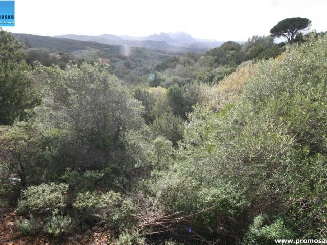 Terreno in vendita a Arzachena SS