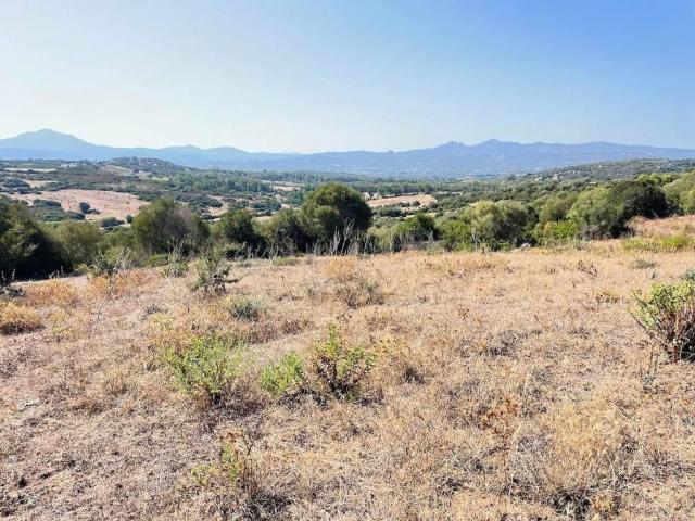 Terreno in vendita a Arzachena SS