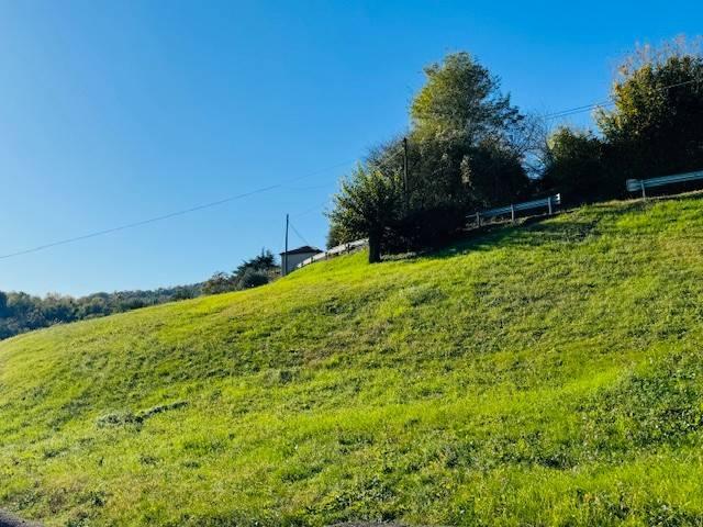 Terreno in vendita a Arzignano VI