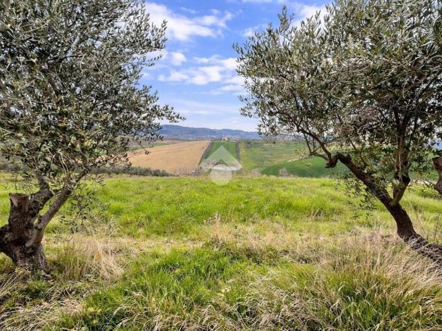 Terreno in vendita a Atri TE