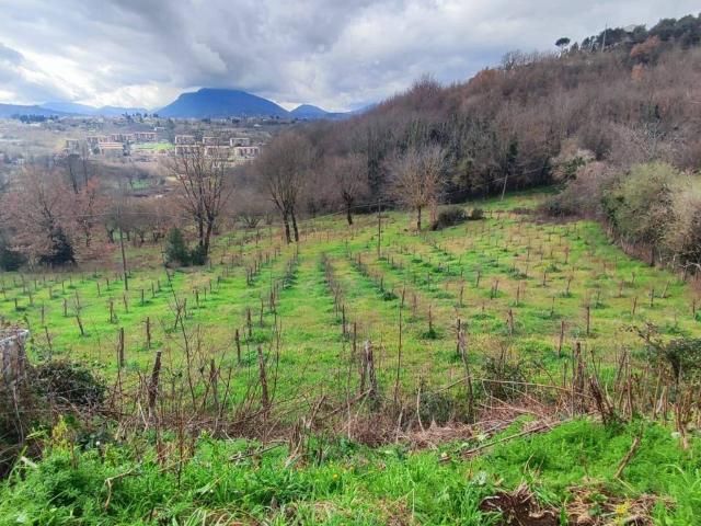 Terreno in vendita a Atripalda AV
