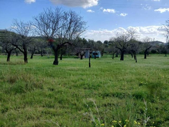 Terreno in vendita a Avola SR