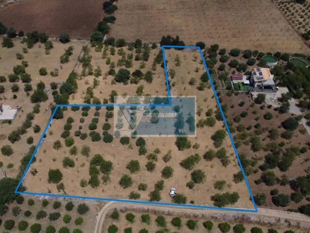 Terreno in vendita a Avola SR