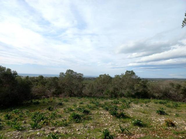 Terreno in vendita a Avetrana TA