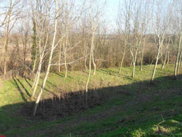 Terreno in vendita a Azzanello CR