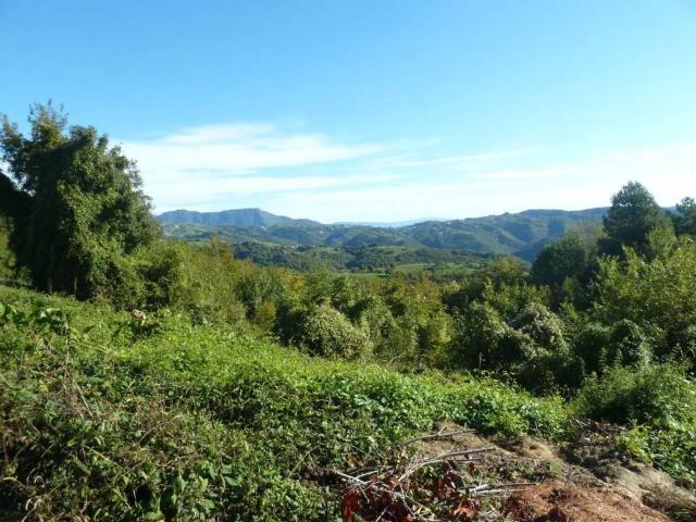 Terreno in vendita a Badia Calavena VR