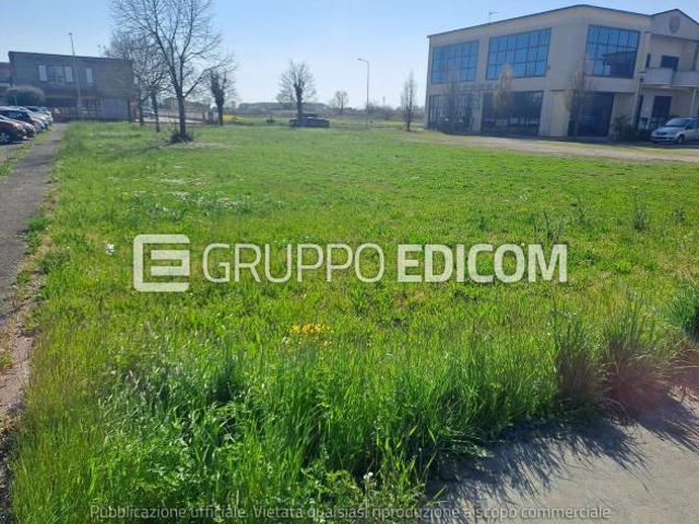 Terreno in vendita a Badia Polesine Rif. 3560071