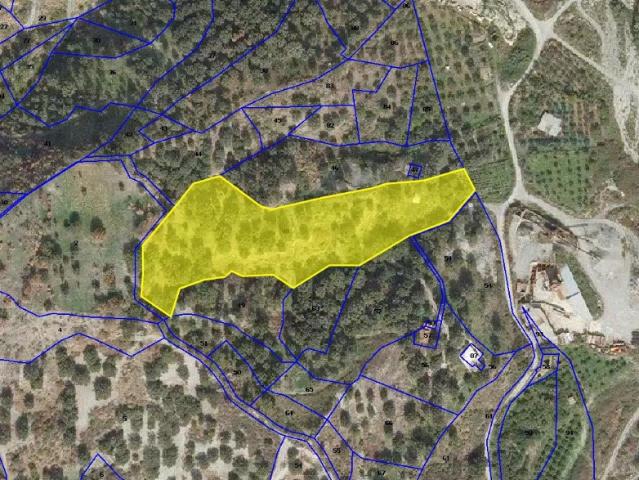 Terreno in vendita a Bagaladi
