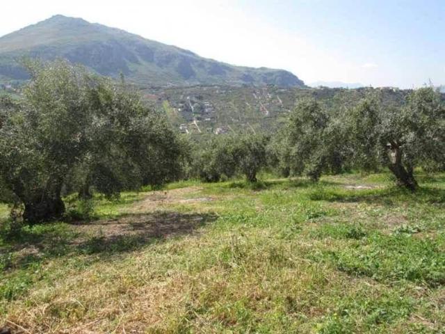 Terreno in vendita a Bagheria PA