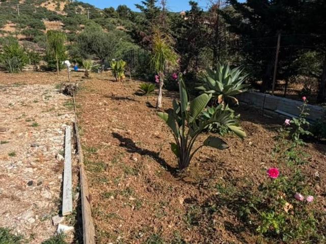 Terreno in vendita a Bagheria PA