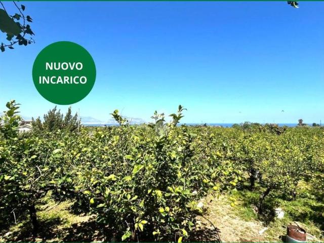Terreno in vendita a Bagheria PA
