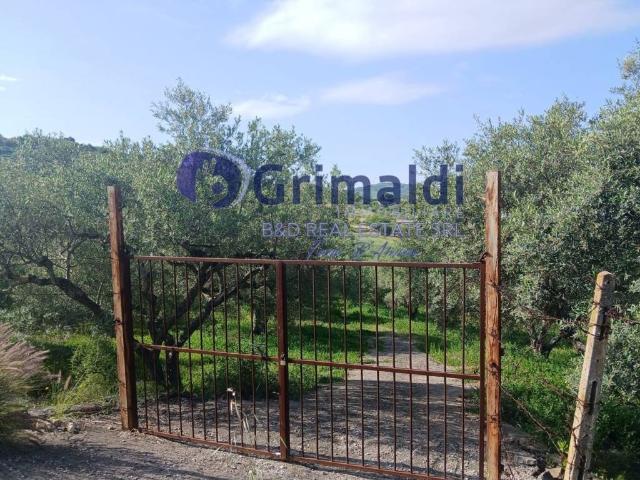 Terreno in vendita a Bagheria PA