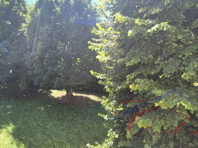 Terreno in vendita a Barzio LC