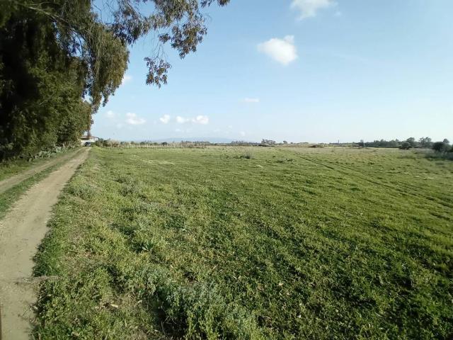 Terreno in vendita a Baratili San Pietro OR