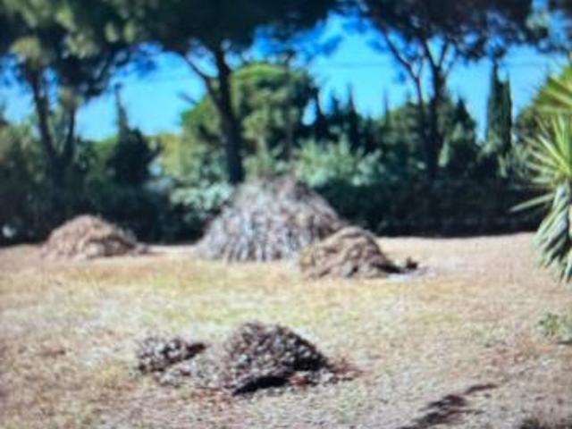 Terreno agricolo in vendita a Baratti Piombino 2400 mq Rif: 1312831