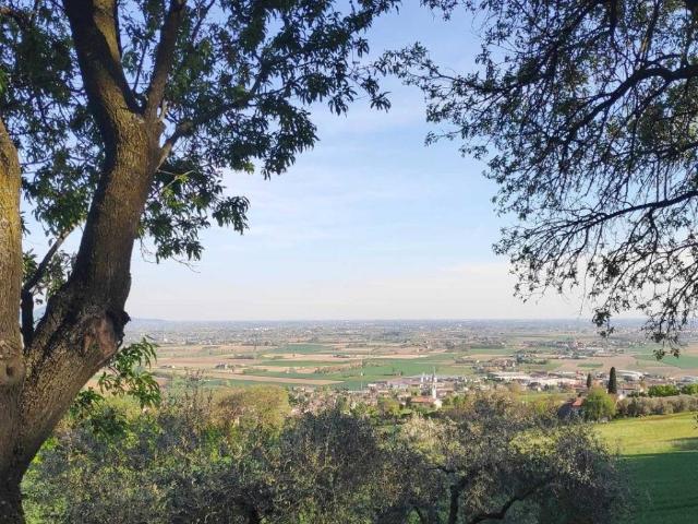Terreno in vendita a Barbarano Mossano VI