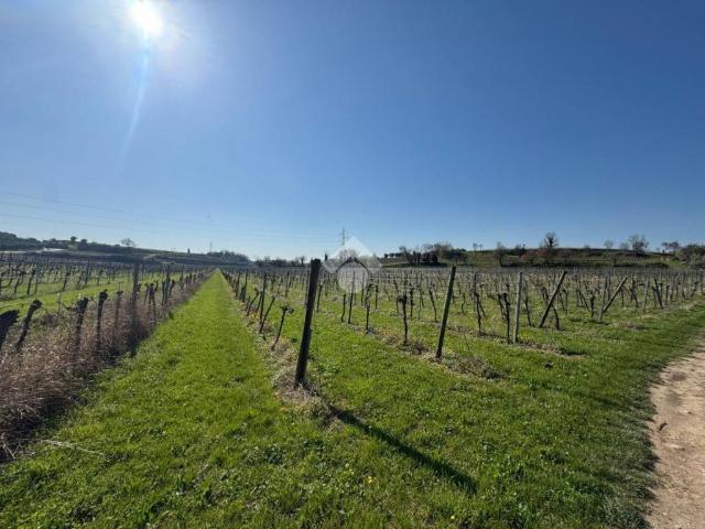 Terreno in vendita a Bardolino VR