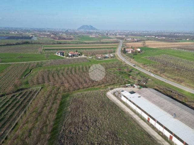 Terreno in vendita a Barge CN