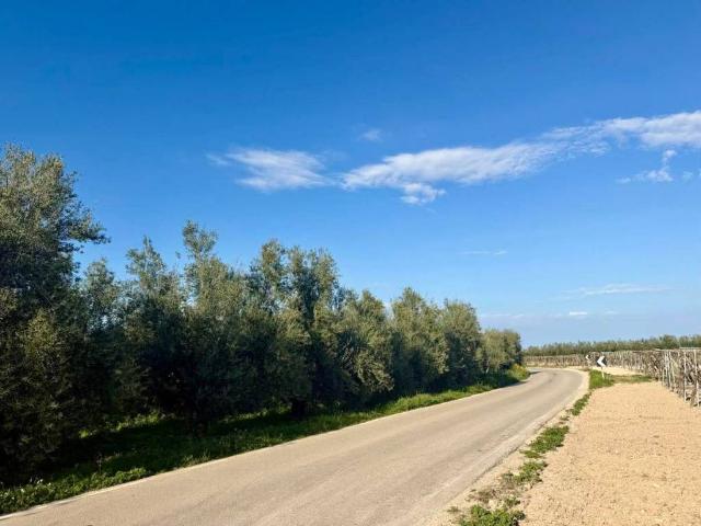 Terreno in vendita a Barletta BT