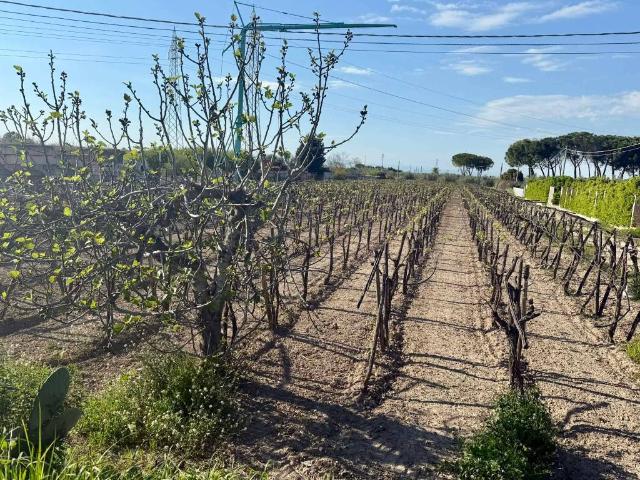 Terreno in vendita a Barletta BT