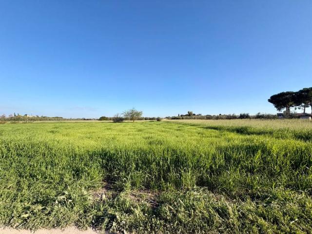 Terreno in vendita a Barletta BT