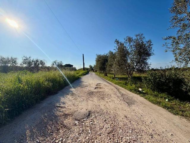 Terreno in vendita a Barletta BT
