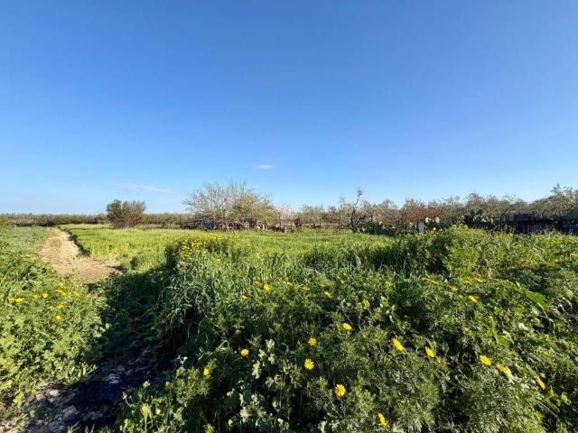 Terreno in vendita a Barletta BT