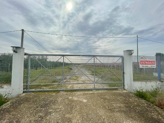 Terreno in vendita a Barletta BT