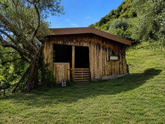 Terreno in vendita a Bassano del Grappa VI