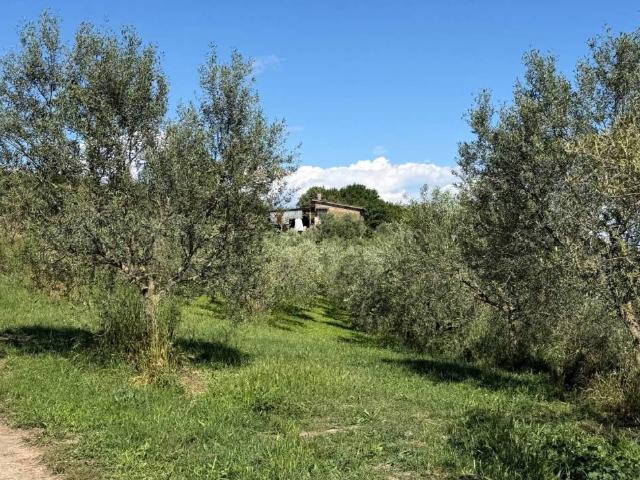 Terreno in vendita a Bassano Romano VT