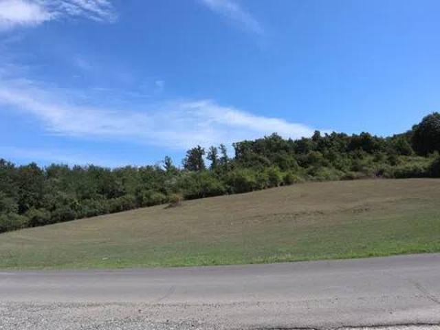 Terreno in vendita a Bassano Romano VT