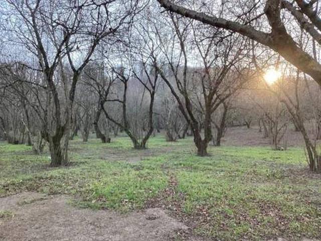 Terreno in vendita a Bassano Romano VT